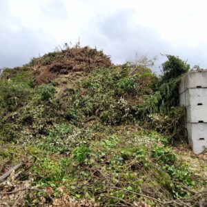 Déchets verts : vers une interdiction totale de dépôts en déchèterie ?