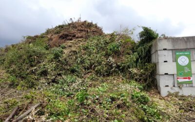 Déchets verts : vers une interdiction totale de dépôts en déchèterie ?