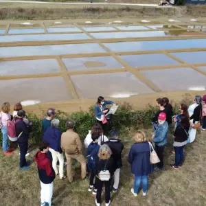 Les animations durant les vacances de Pâques à Oléron