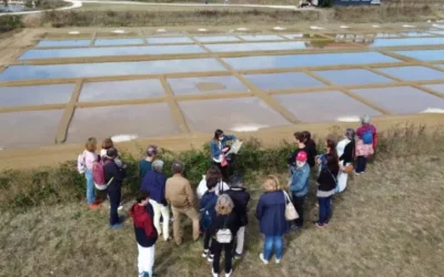 Les animations durant les vacances de Pâques à Oléron