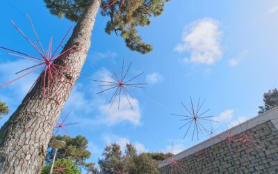 Agenda de vos sorties en mai 2026