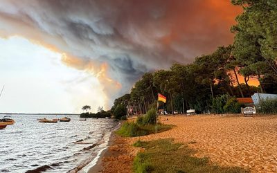 Incendies : le président de la Région Nouvelle-Aquitaine a interpellé l’État