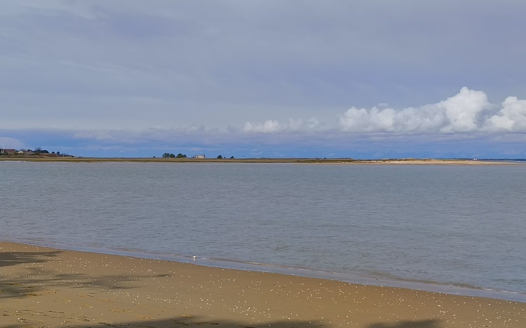 Biodiversité : la Réserve naturelle de Moëze-Oléron lance une enquête ouverte à tous