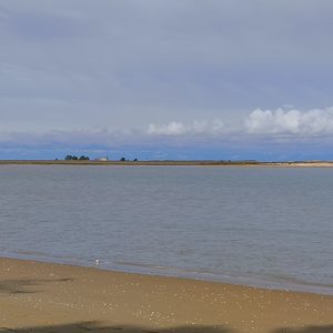 Biodiversité : la Réserve naturelle de Moëze-Oléron lance une enquête ouverte à tous