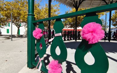 L&rsquo;agenda : Octobre rose 2026